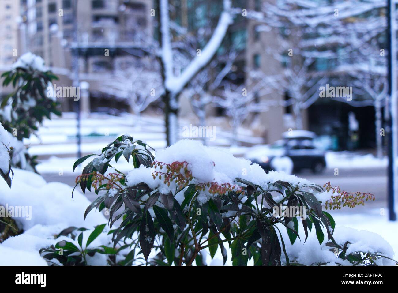 Vancouver Canada January 2020 View Sign Westin Bayshore, 56% OFF