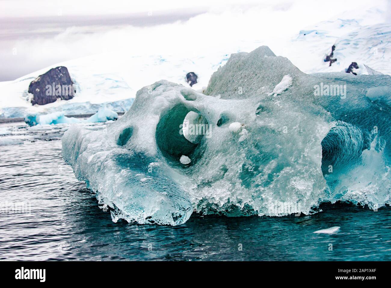 melting Iceberg with ice floe in foreground, floating in the sea