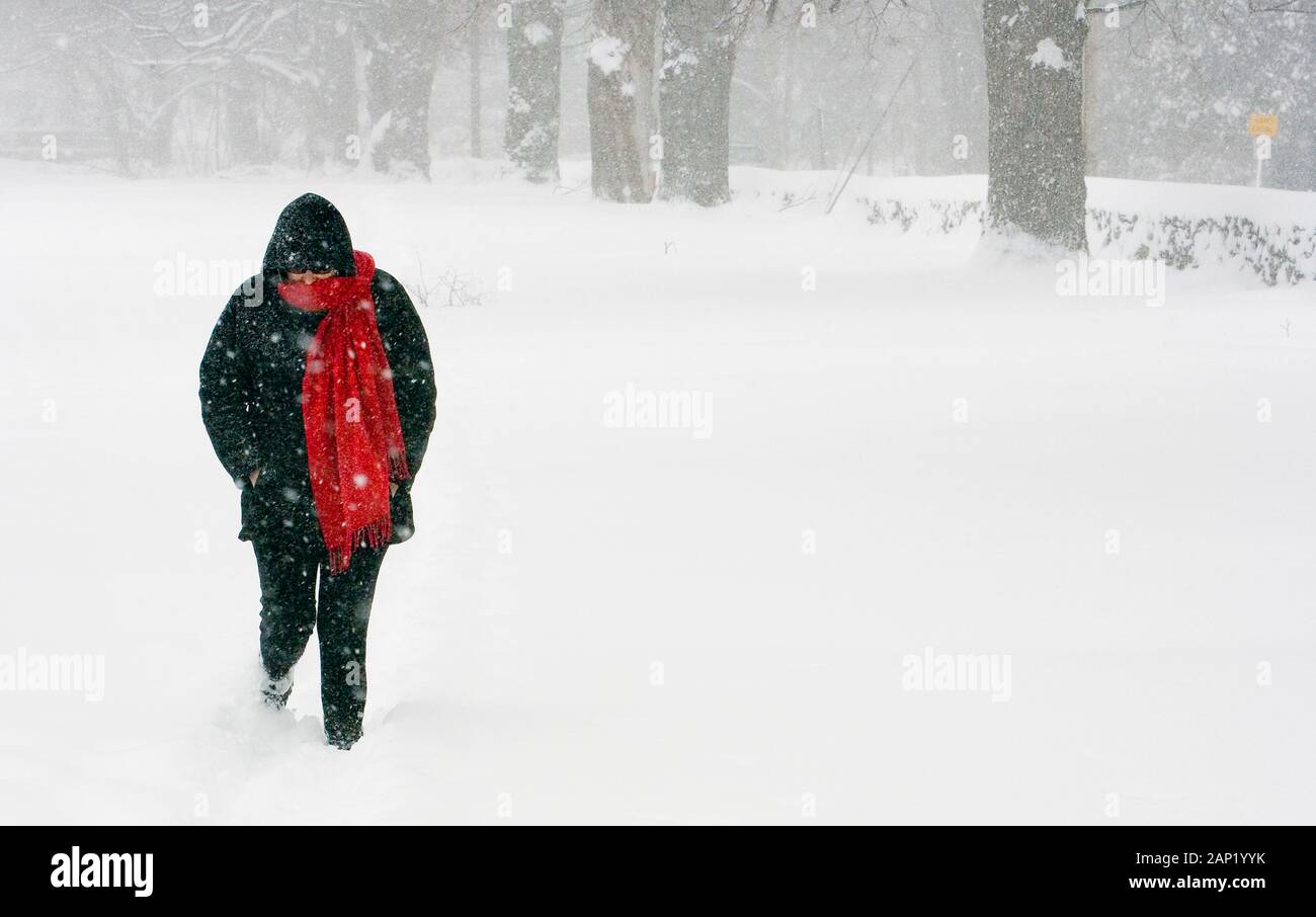 Woman walking in a park hi-res stock photography and images - Alamy