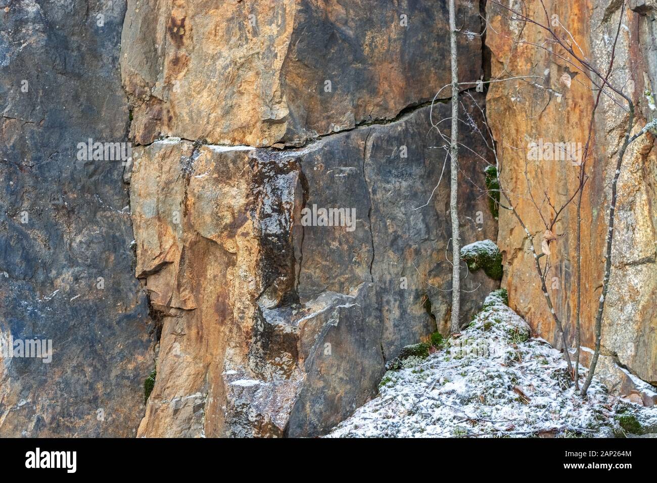 Fragment of a brown rock covered with cracks and moss covered with snow, for use as an abstract background and text Stock Photo