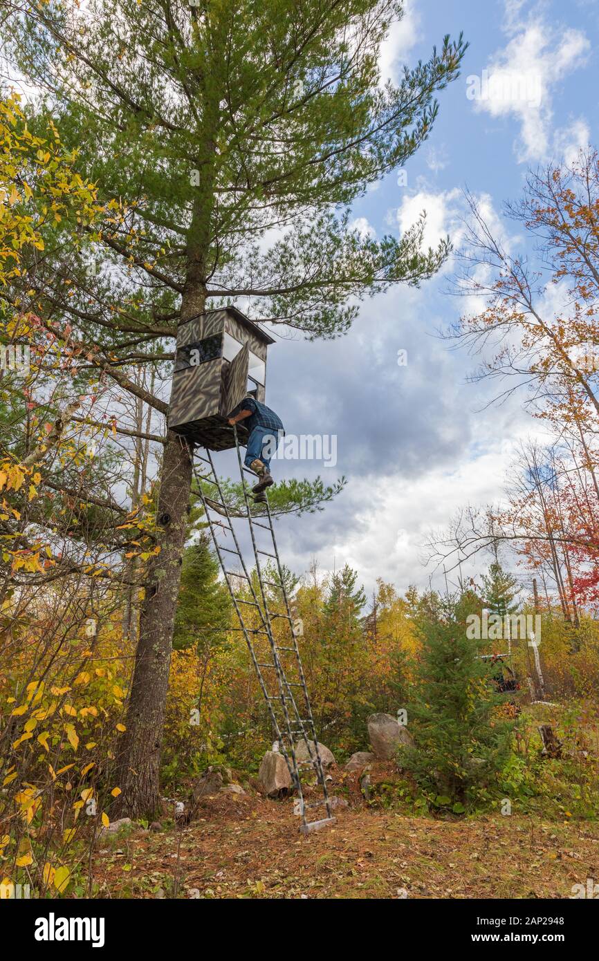 Hunter inspecting his homemade hunting blind in northern Wisconsin