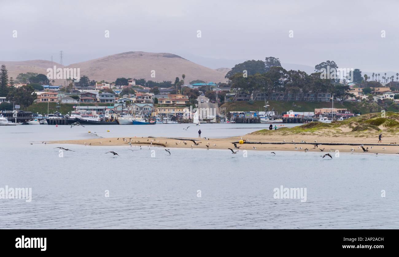 View of the calm inlet at Morro Bay, with rows of houses and shops along the waterfront beyond a stretch of beach, on the coast of California Stock Photo