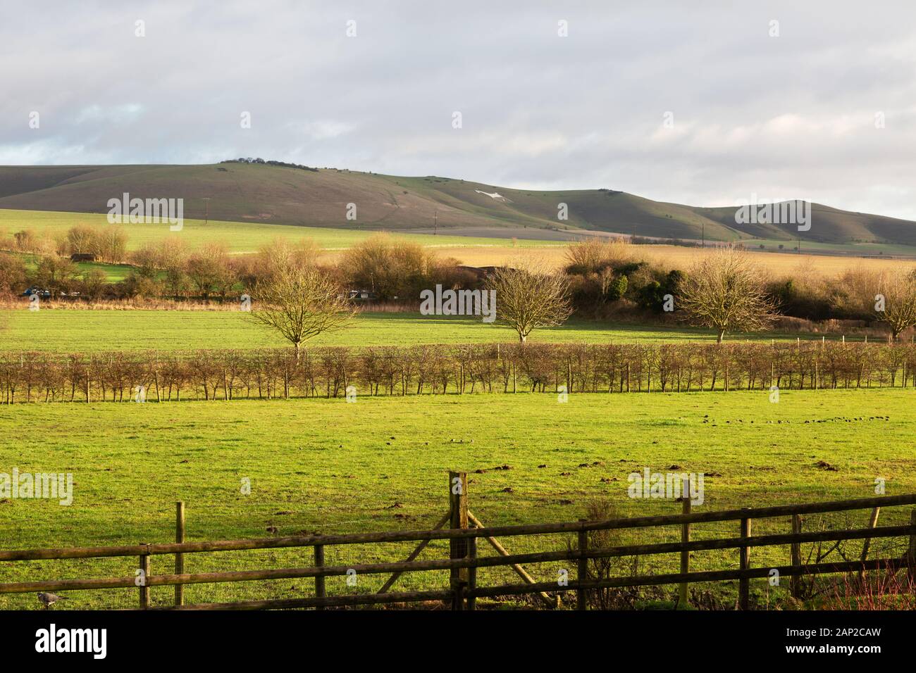 Wiltshire countryside - landscape looking across Pewsey Vale towards the Pewsey White horse, Pewsey, Wiltshire England UK Stock Photo