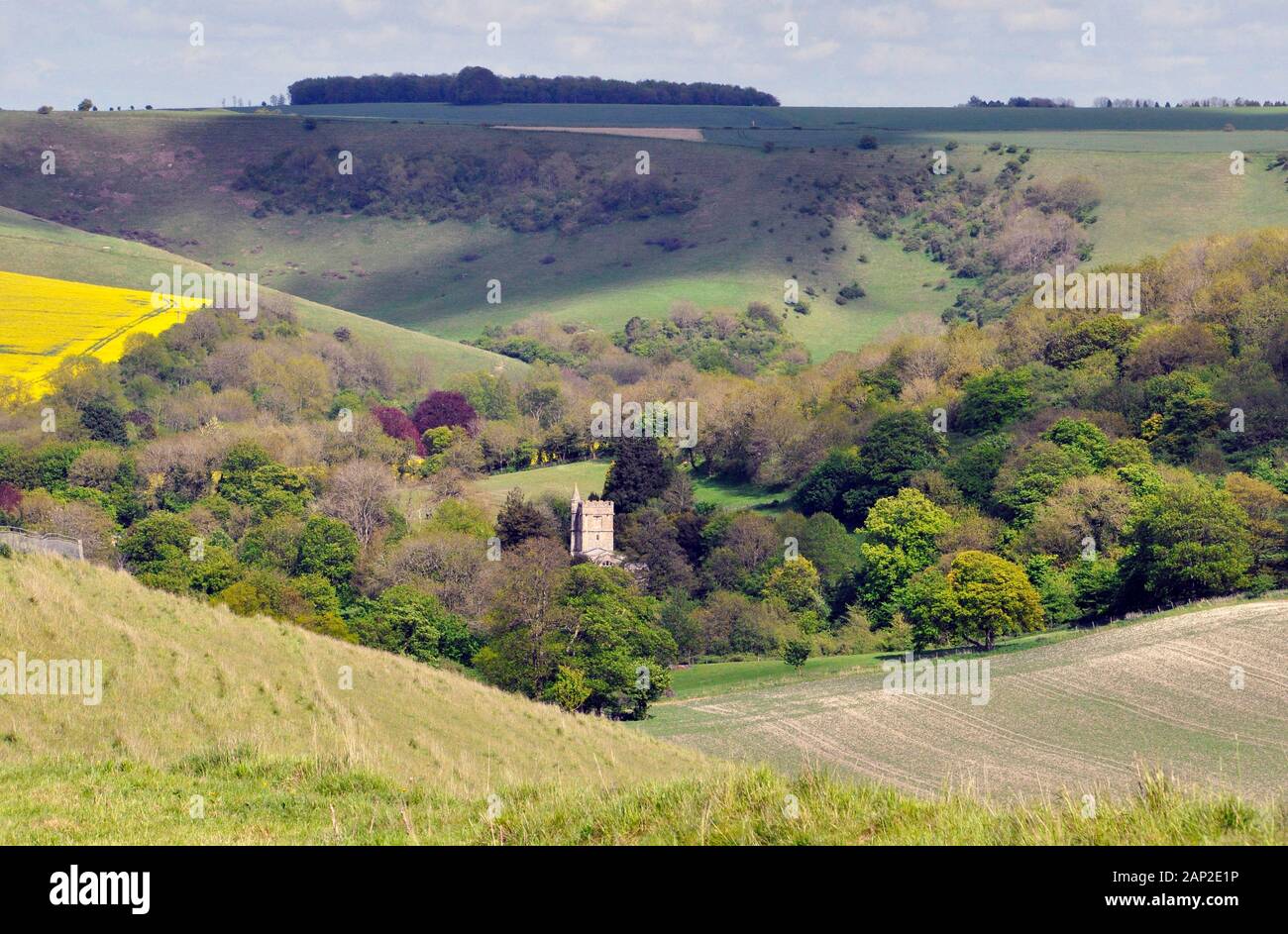 The Church of St James at Bratton, in a valley on the edge of Salisbury plain Wiltshire, sits among the many colours of the spring trees.UK Stock Photo