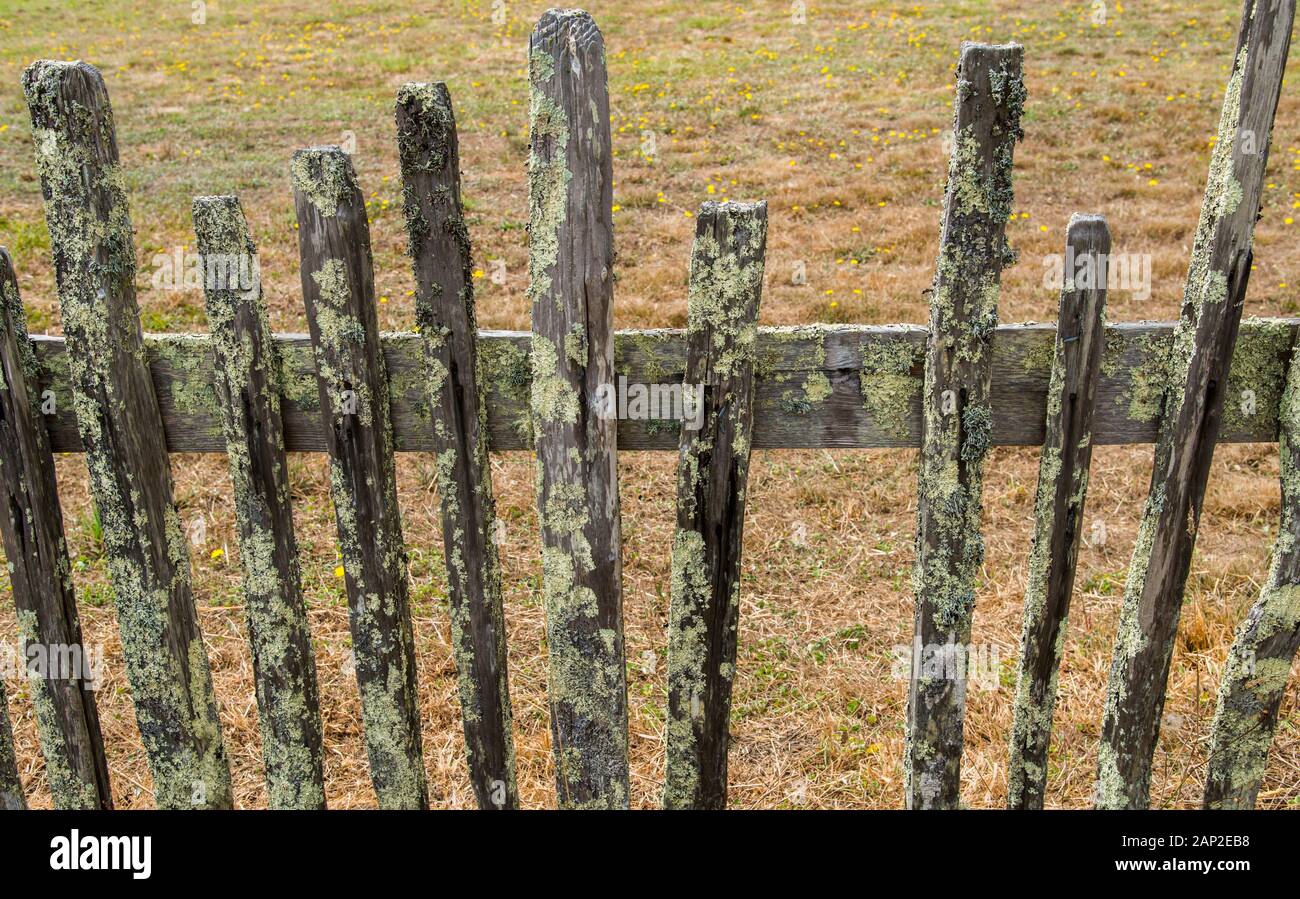 Detail of a lichen covered fence at Fort Ross State Historic Park on the Sonoma County coast of California Stock Photo