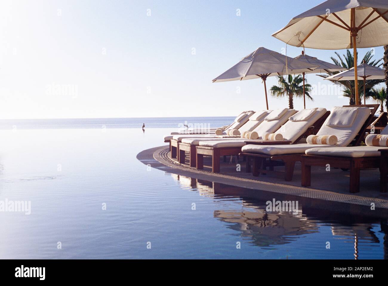 chaise lounges and infinity swimming pool Stock Photo