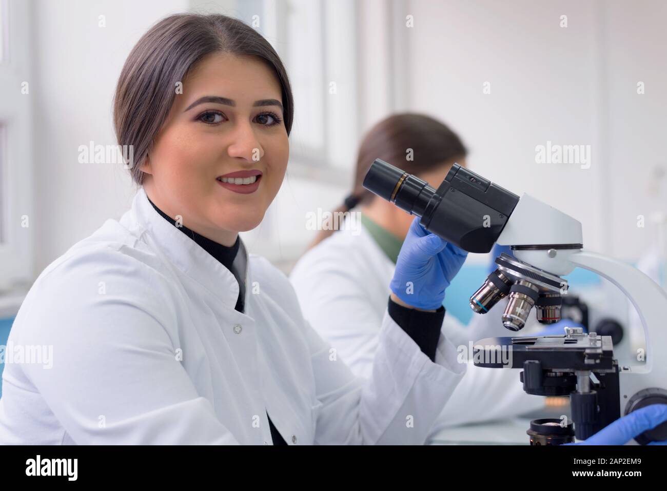 Group of Laboratory scientists working at lab with test tubes, test or ...