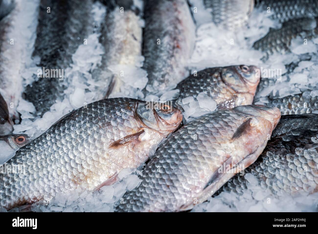 Fresh fish on ice. Sale of fresh frozen fish on farmer's bazaar. Open