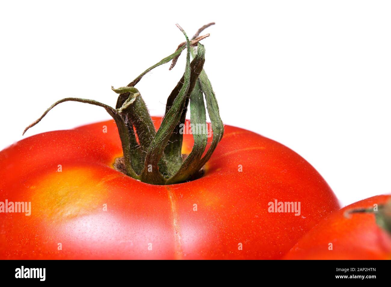 Photograph of red ripe tomatoes isolated on white background Stock ...