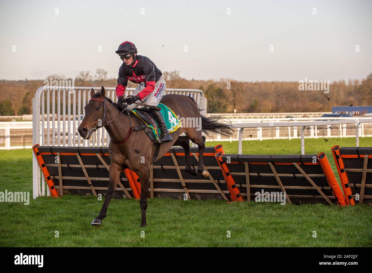 Horse culture hires stock photography and images Alamy