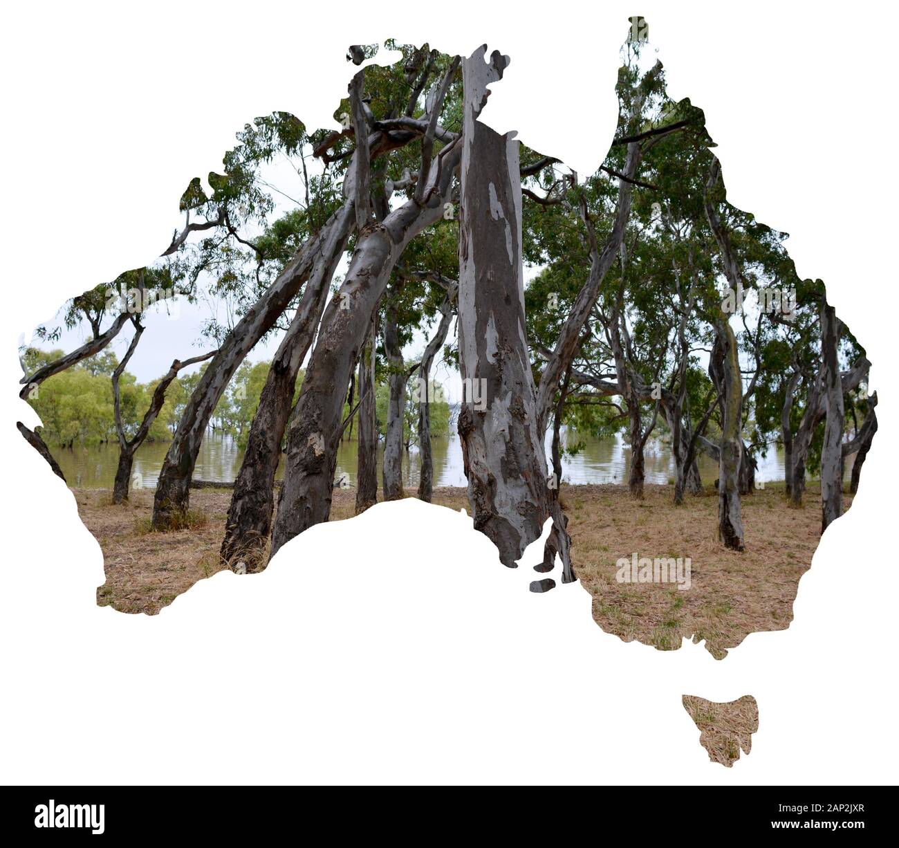 A series of Views of the natural landscapes and scenery of Australia set into a map of the countrycurved trees Stock Photo