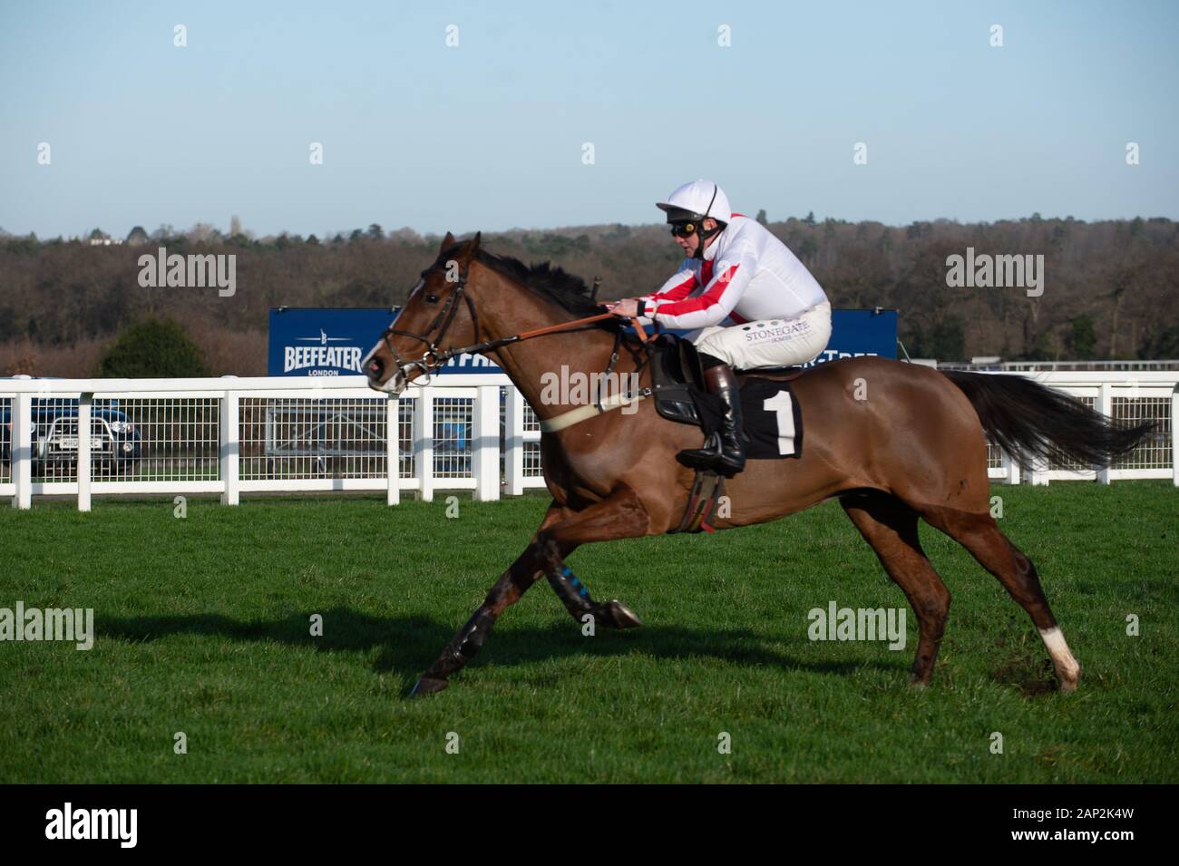 Gary moore trainer hires stock photography and images Alamy