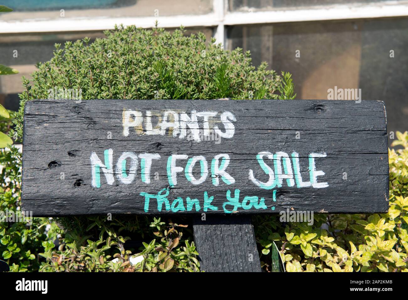 Wooden sign saying Plants not for Sale, Skip Garden, London Borough of Camden. Stock Photo