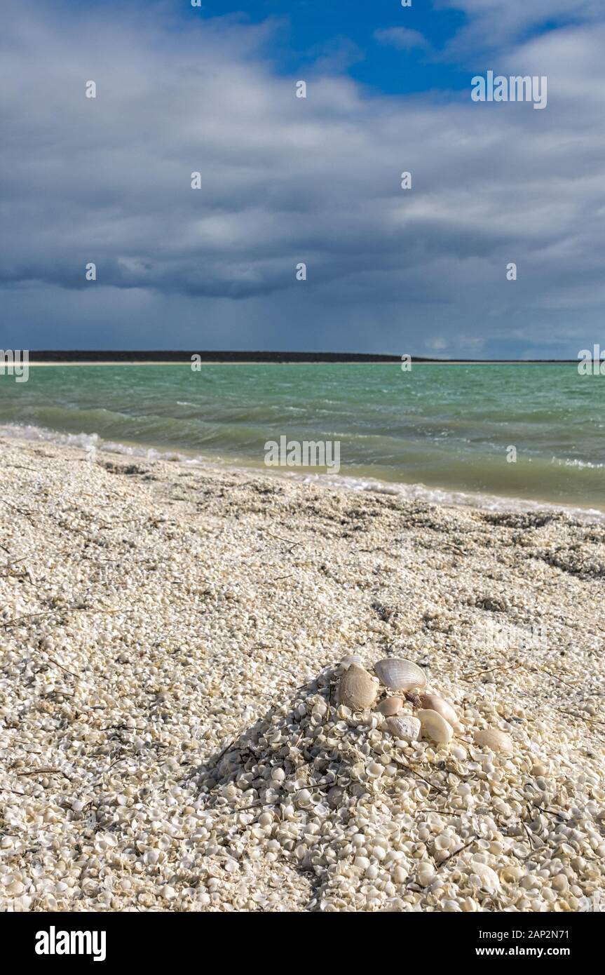 Low perpective view of Fragum Cockle Shell Beach and the Indian Ocean along Shark Bay in Western Australia. Stock Photo