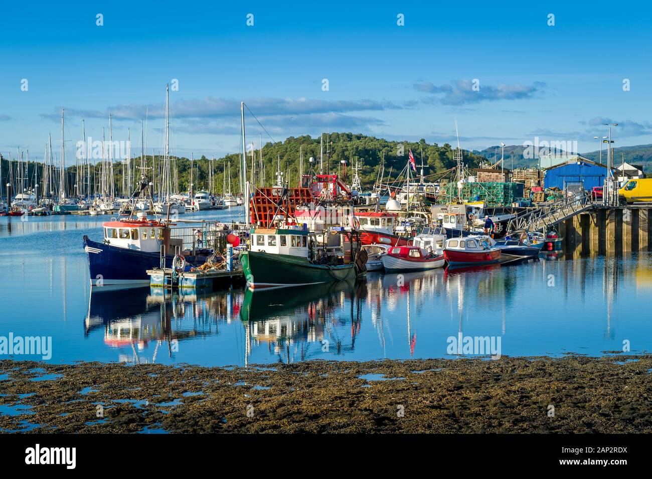 Tarbert harbor with colorful fisherman's boats and sailing yachts docked. Hebrides, Scotland. Stock Photo
