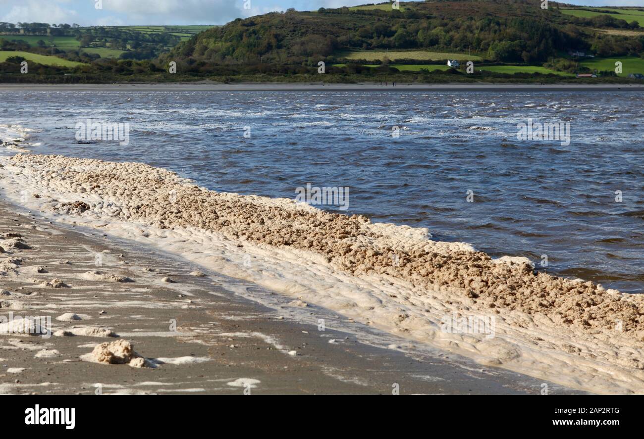 Pollution, river Teifi, Wales Stock Photo