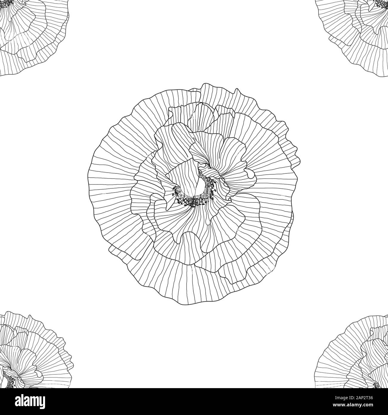 seamless pattern of black and white poppies Stock Vector Image & Art ...