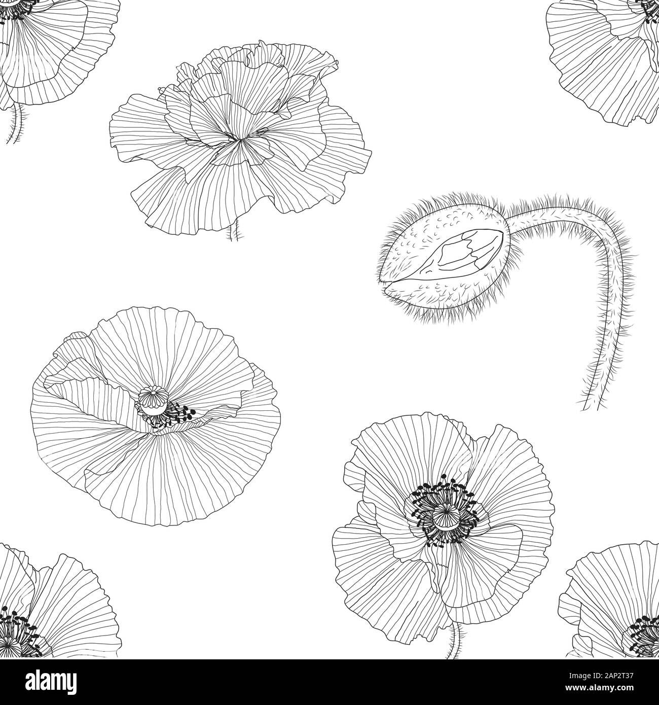 seamless pattern of black and white poppies Stock Vector Image & Art