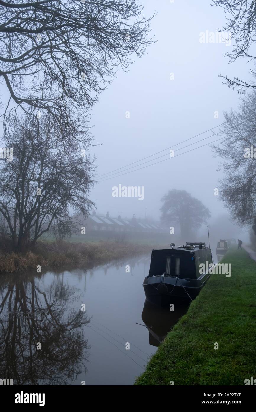 Foggy English winter morning. Walk next to Trent and Mersey Canal in Staffordshire, near the small town Stone. Stock Photo