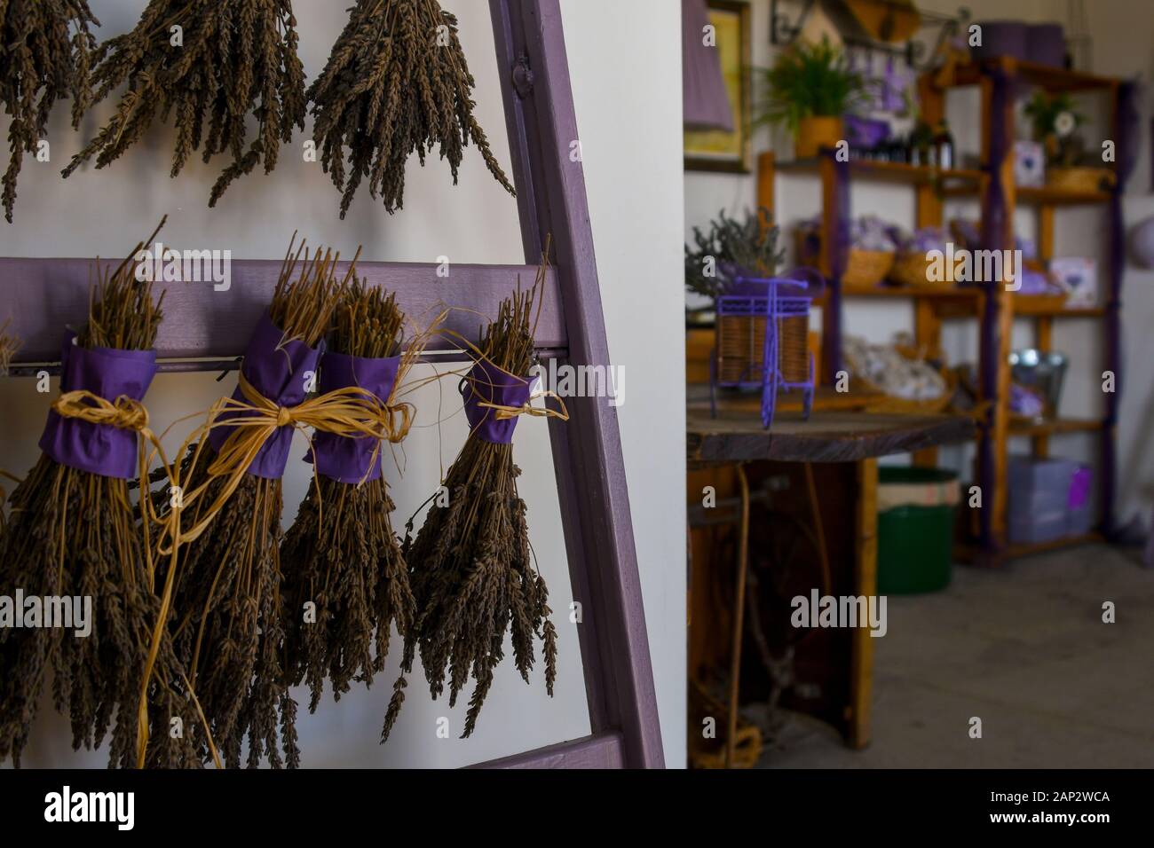 Aromatherapy bouquet of lavender plants drying to be used as potpourri Stock Photo