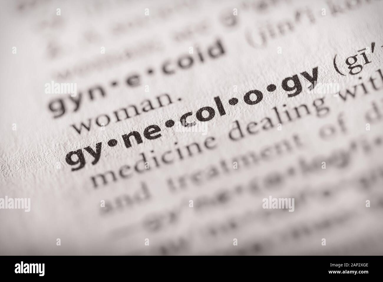Selective focus on the word gynecology. Many more word photos in my portfolio. Stock Photo
