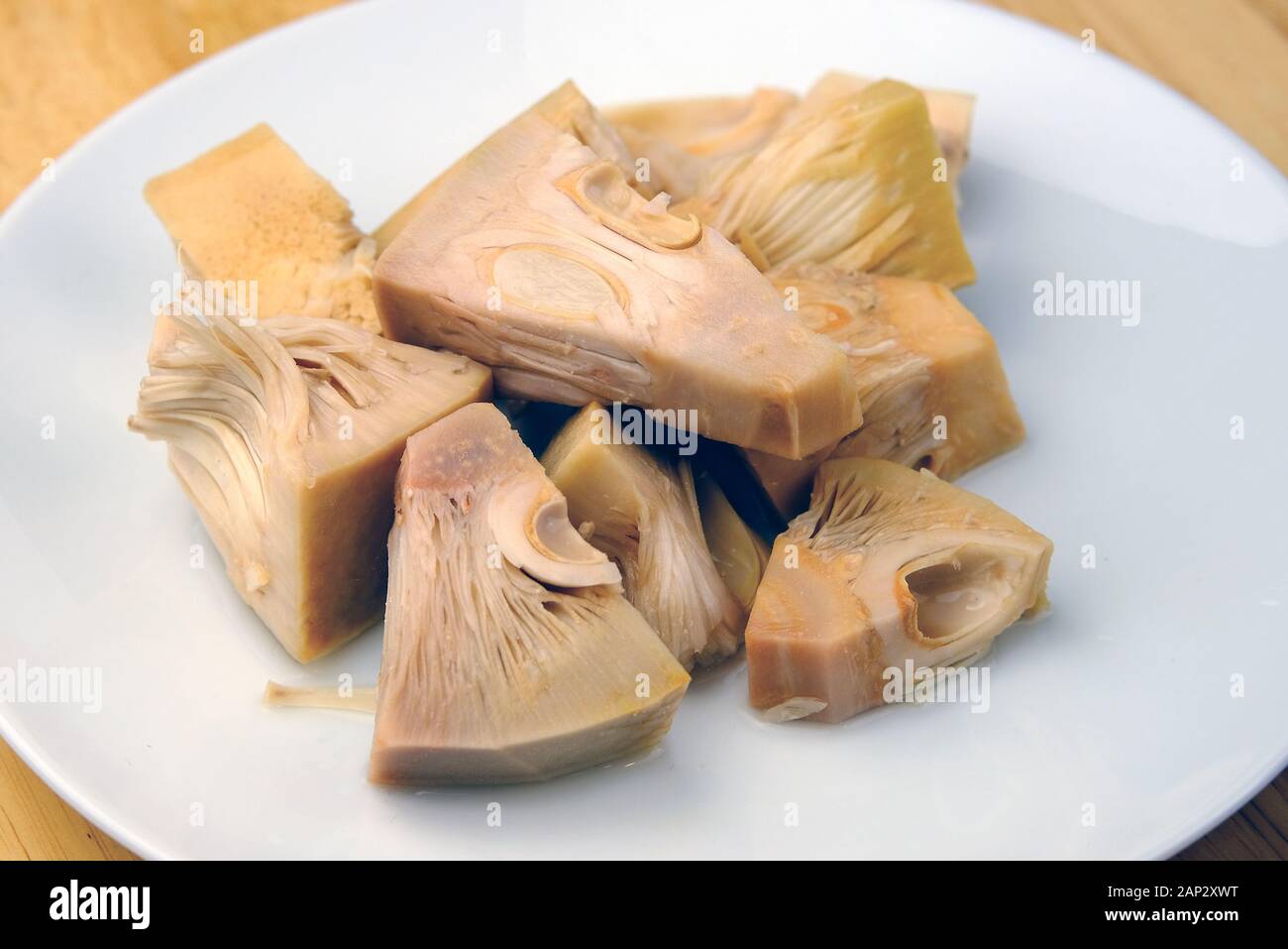 Canned Jackfruit young tender pieces on the plate. Healthy vegan meat replacement and it's one of the food trends due to it's meat like texture. Stock Photo