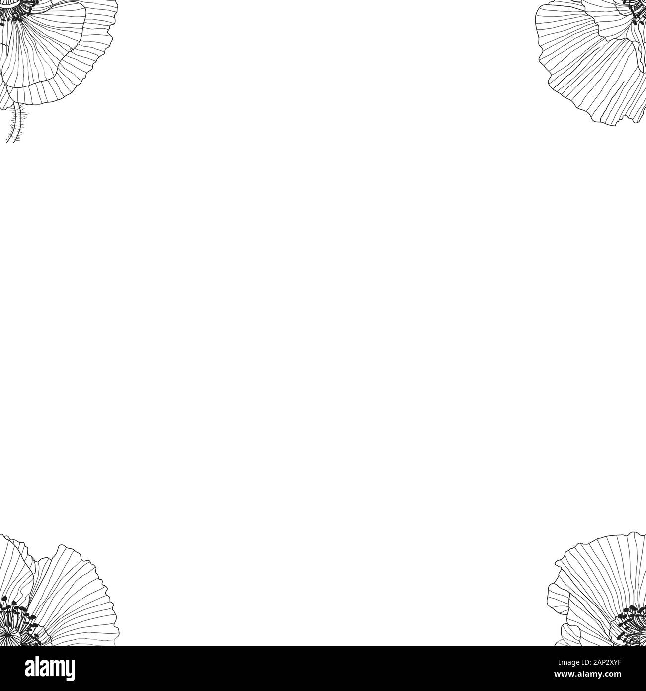 seamless pattern of black and white poppies Stock Vector Image & Art ...