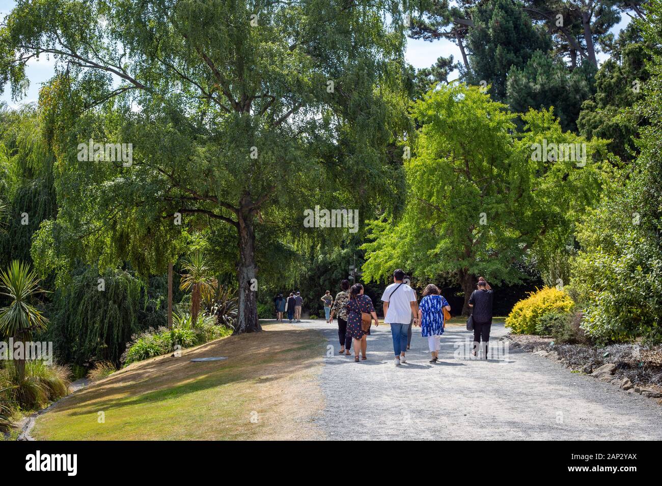 People enjoy walking through a city park on a summer day in Christchurch, New Zealand Stock Photo