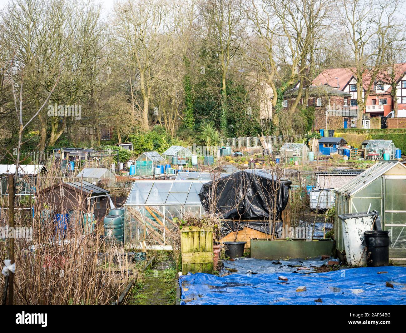 Allotments in winter Stock Photo