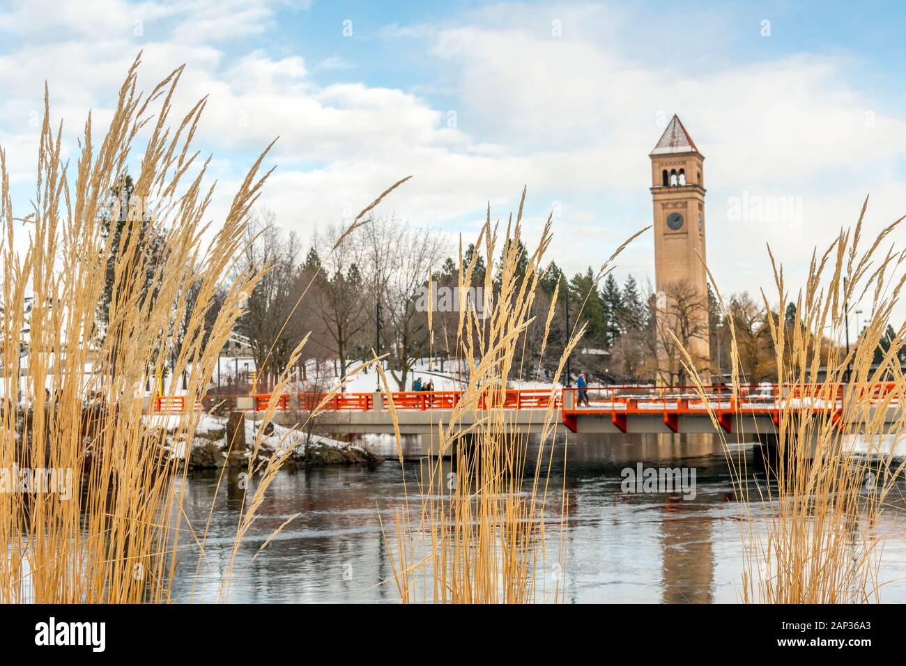 Tall reeds along the Spokane River are in focus with the river, bridge and clock tower slightly blurred behind in Riverfront Park during winter. Stock Photo