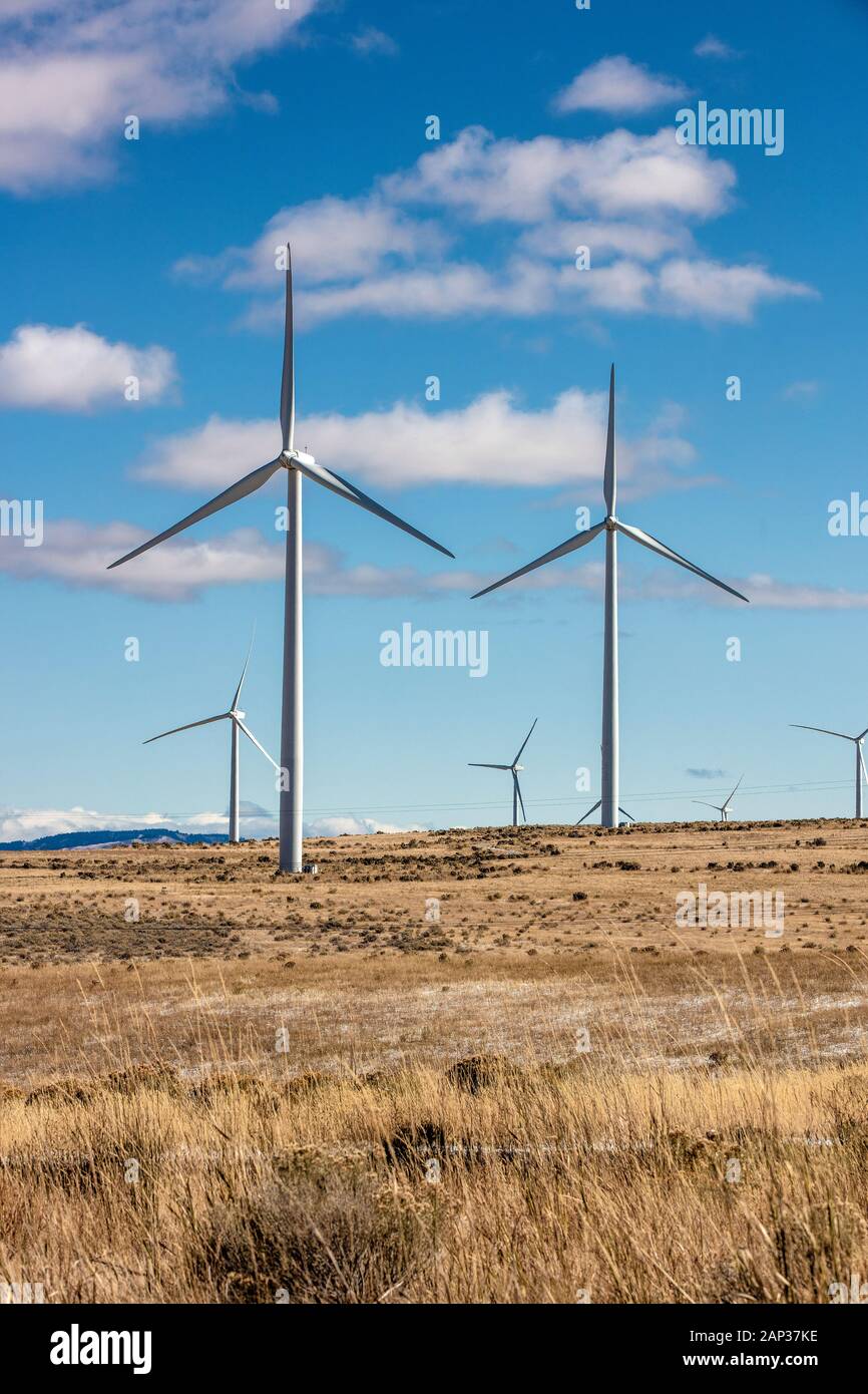 Wind turbines in a field with blue sky Stock Photo - Alamy
