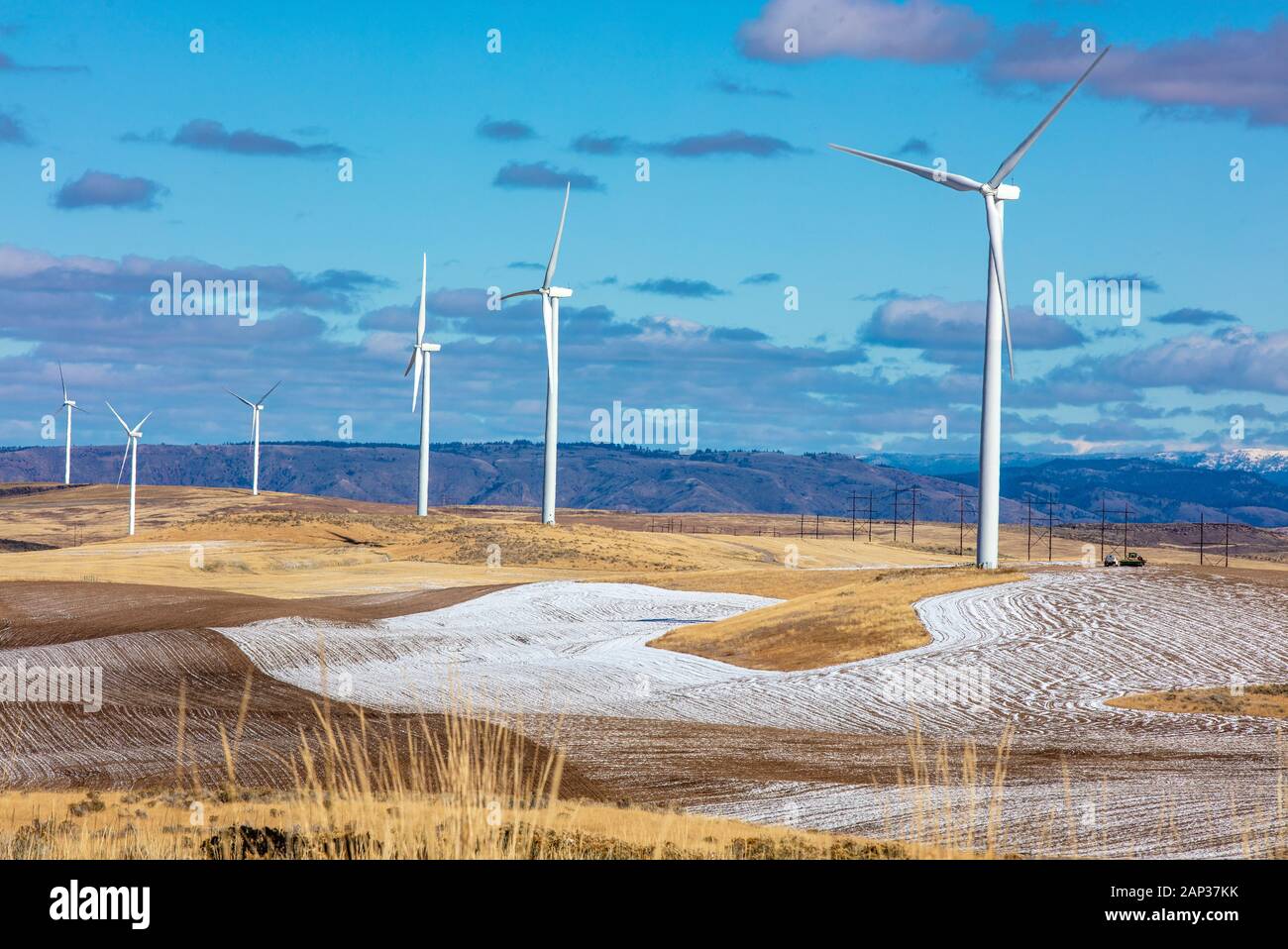 Wind turbines in a field with blue sky Stock Photo - Alamy