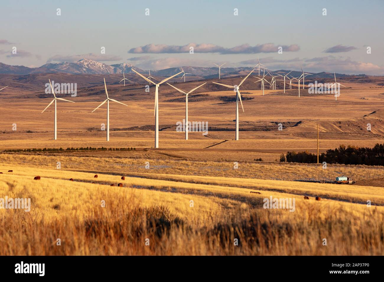 Wind turbines in a field with blue sky Stock Photo - Alamy