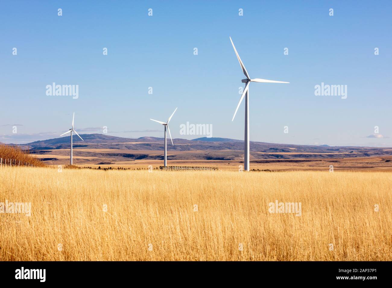 Wind turbines in a field with blue sky Stock Photo - Alamy