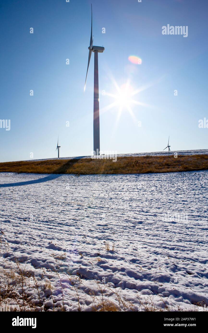 Wind turbines in field against blue sky with sun Stock Photo - Alamy