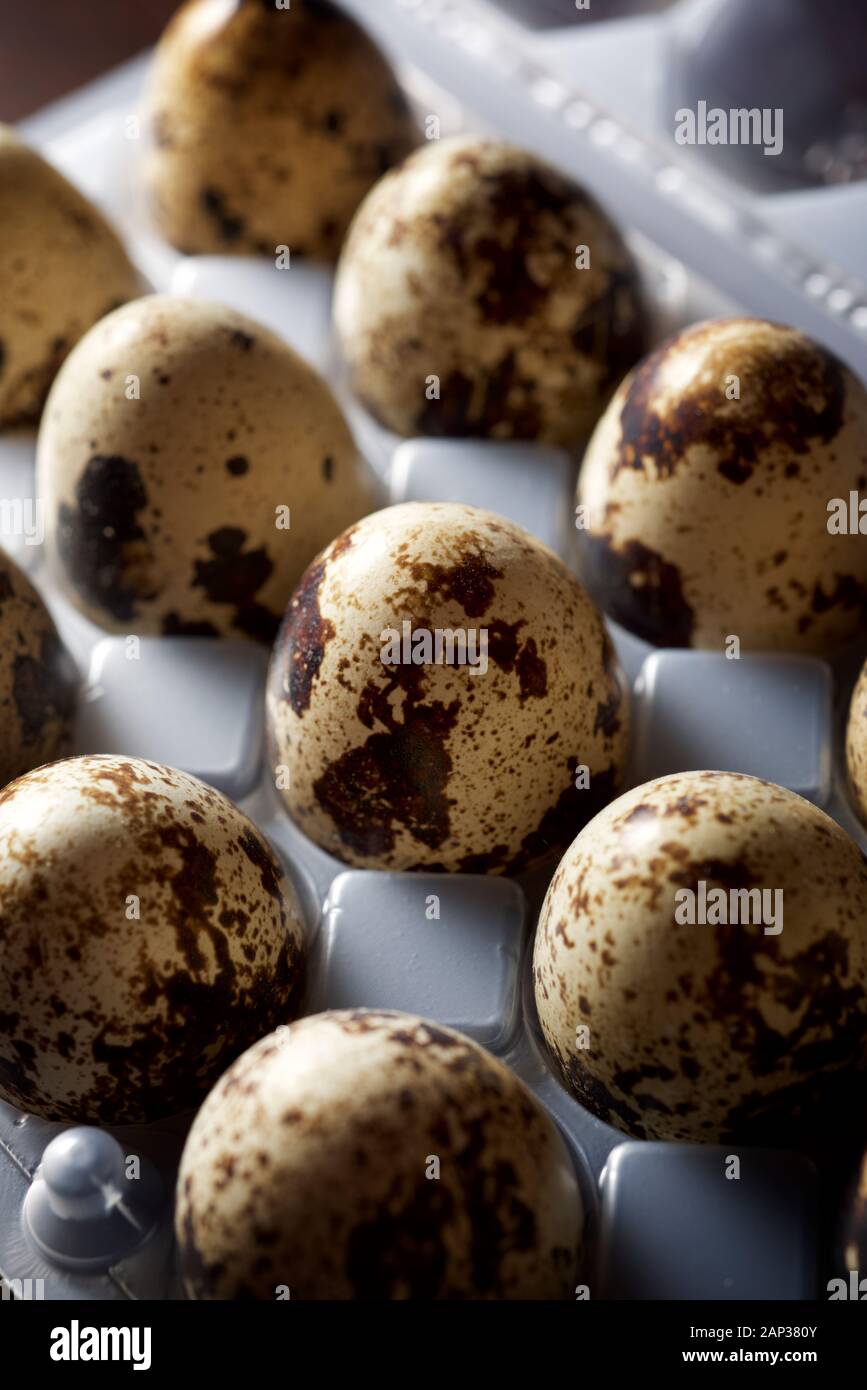 Quail eggs in a plastic box. Stock Photo