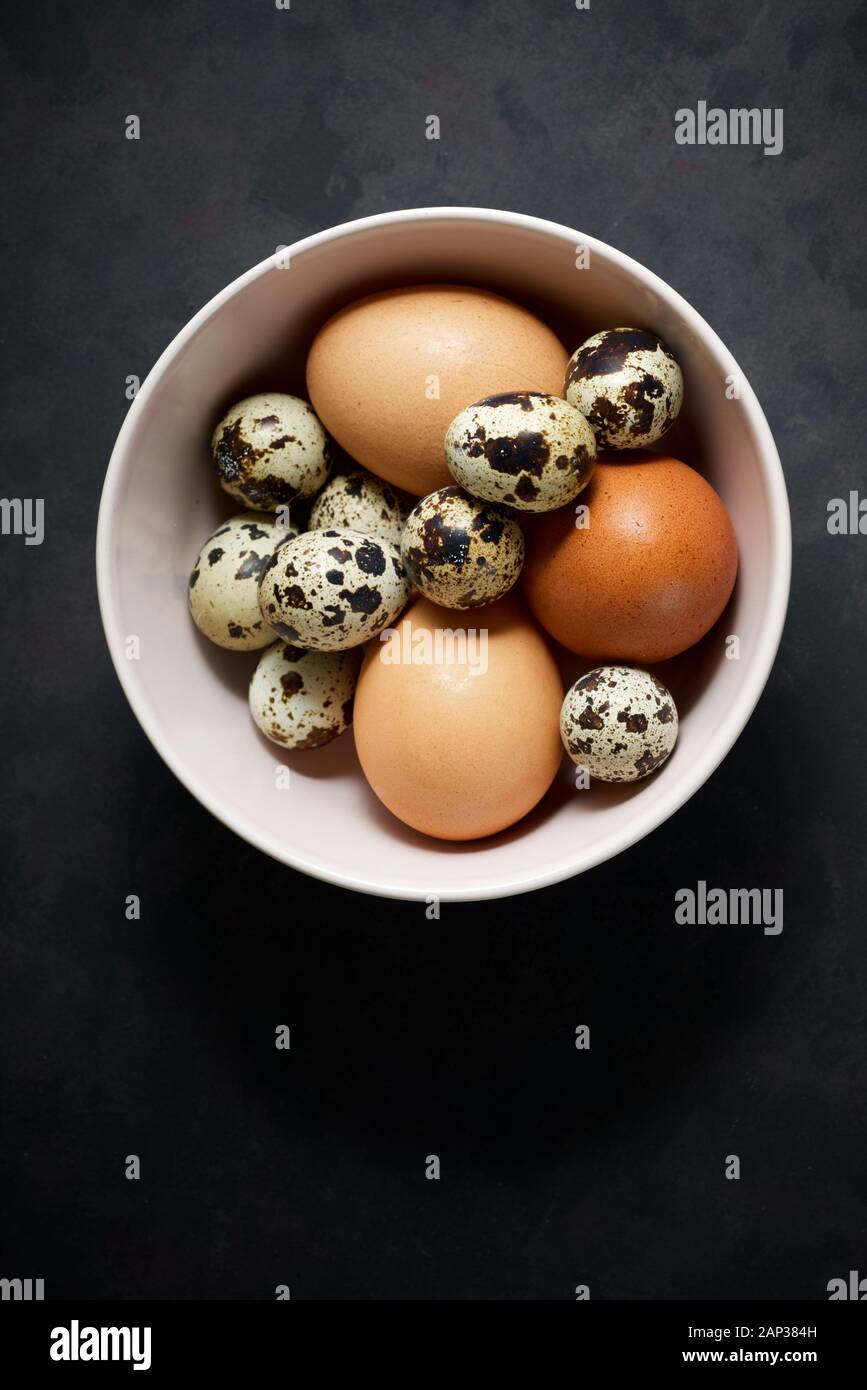 Quail and chicken eggs on a bowl. Stock Photo