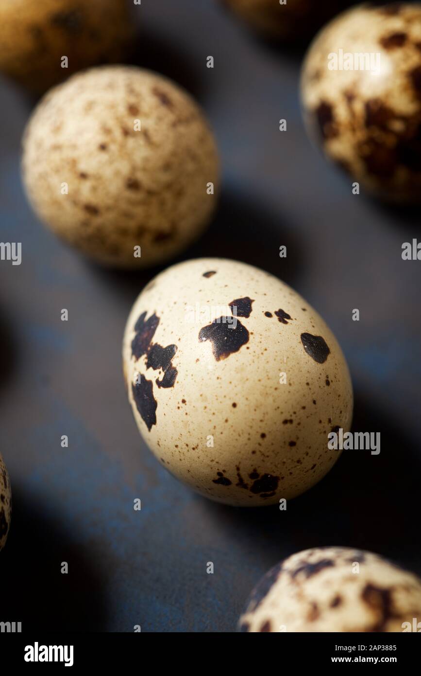Quail eggs on a black table. Stock Photo