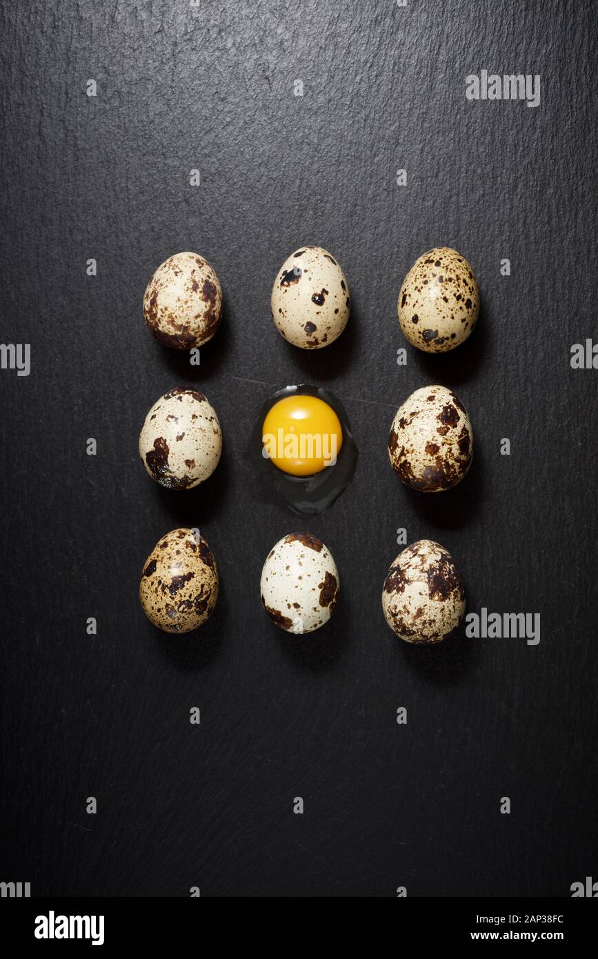 Quail eggs on a black table. Stock Photo
