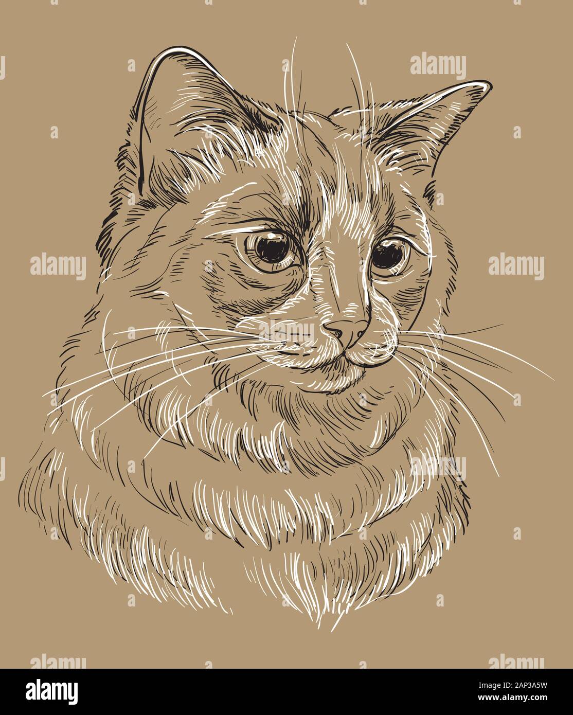 Ragdoll art clearance