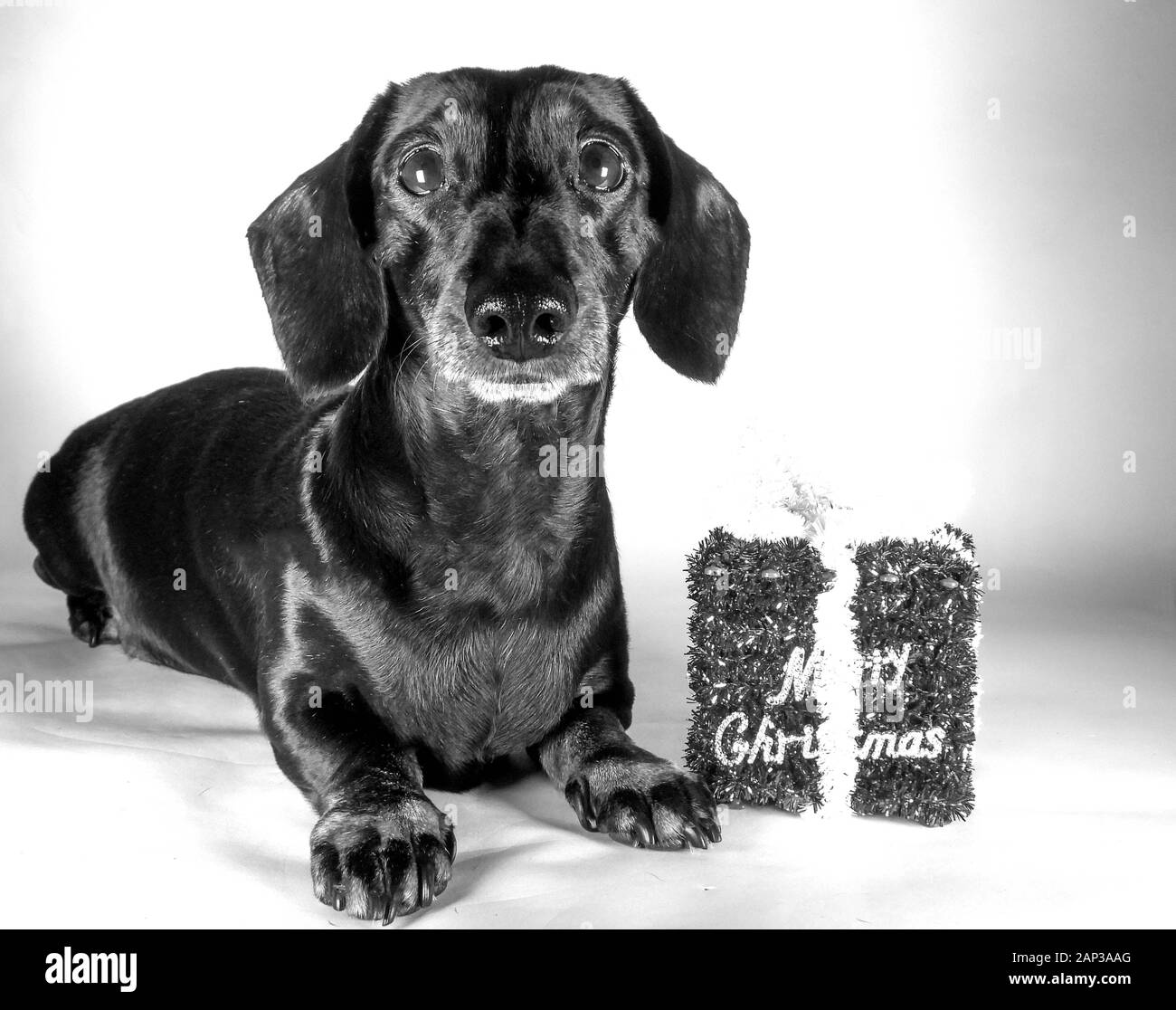 Sausage Black and White Stock Photos & Images Alamy