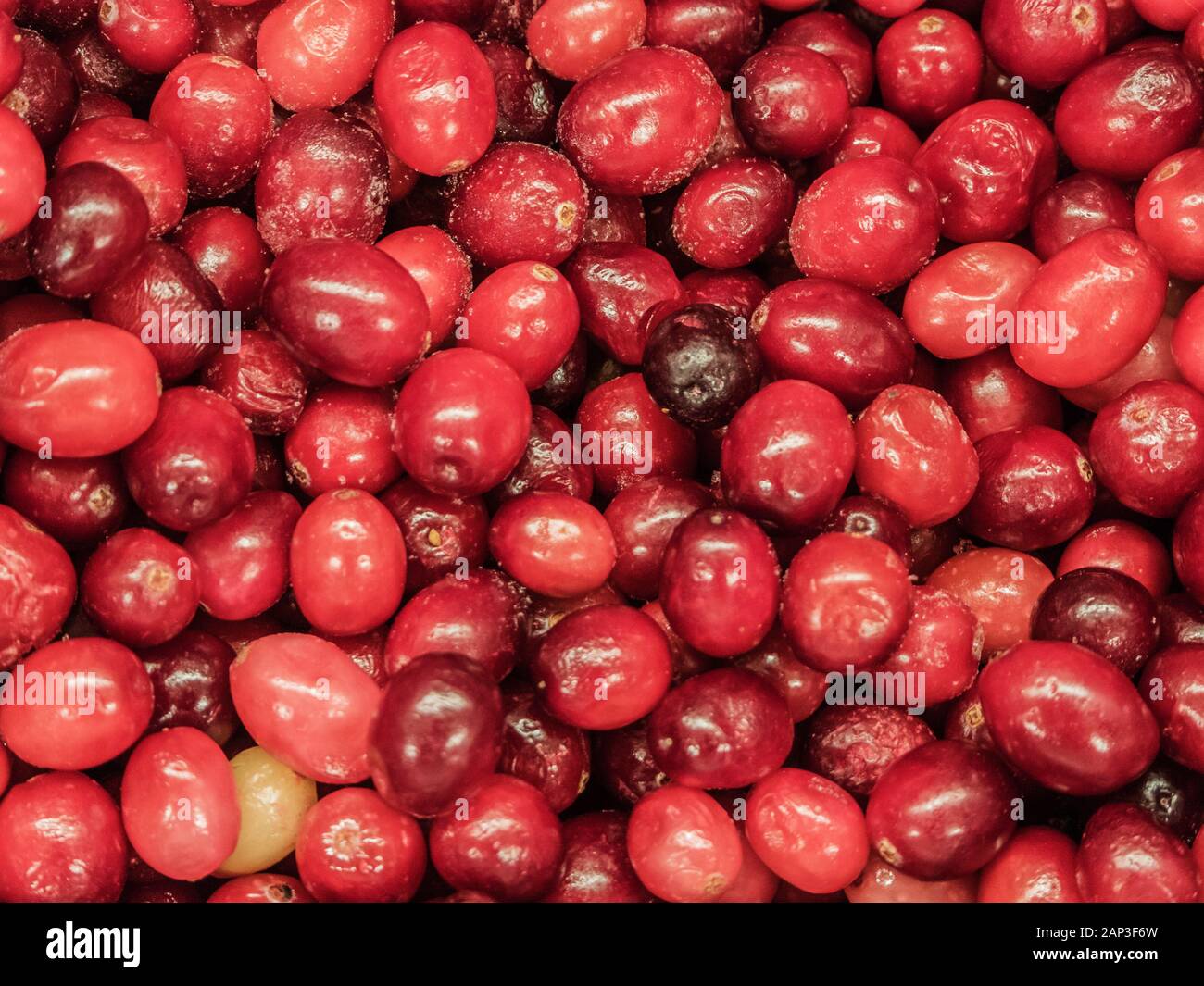 Frozen red berries in the refrigerator Stock Photo Alamy