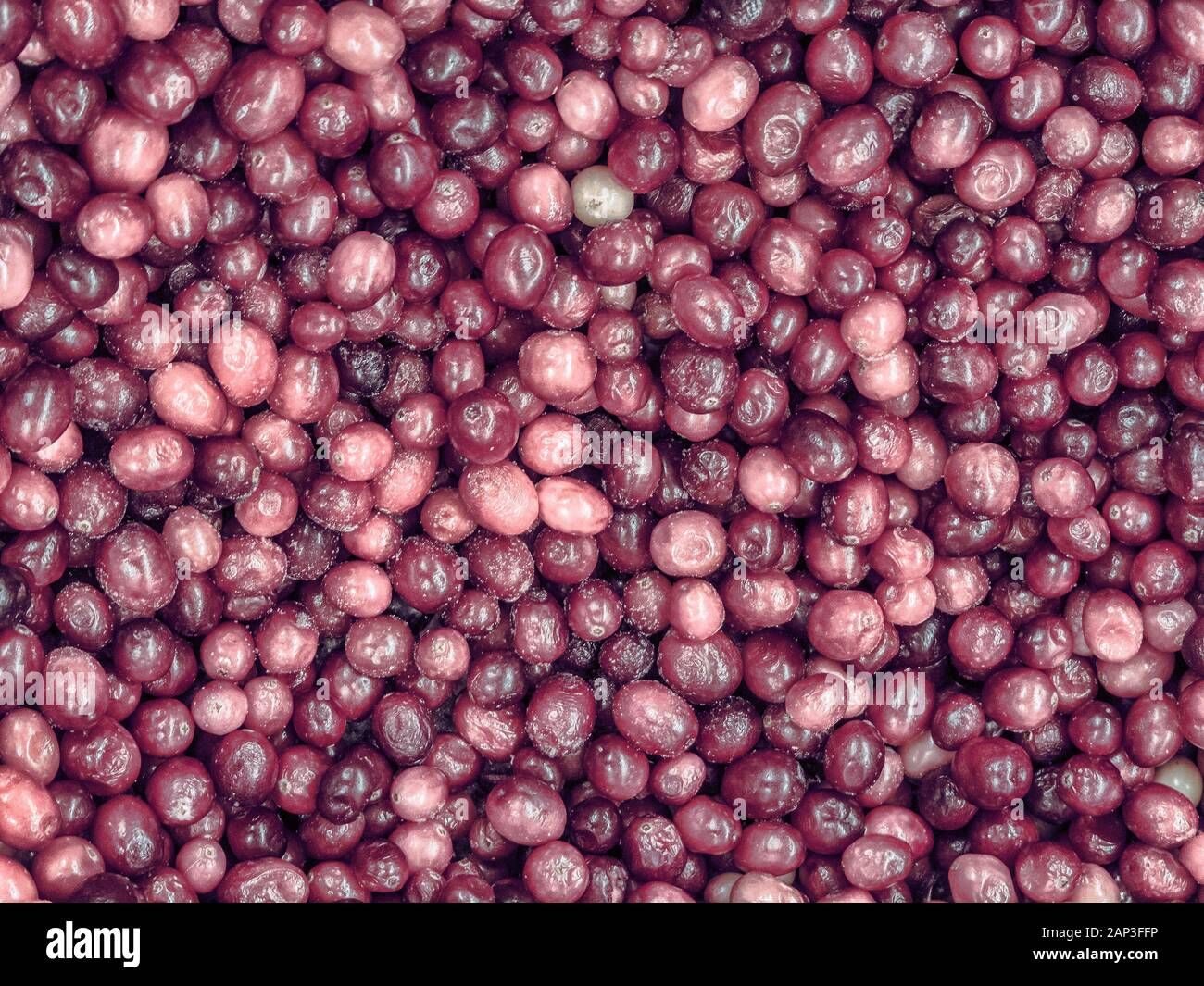 Frozen red berries in the refrigerator Stock Photo Alamy