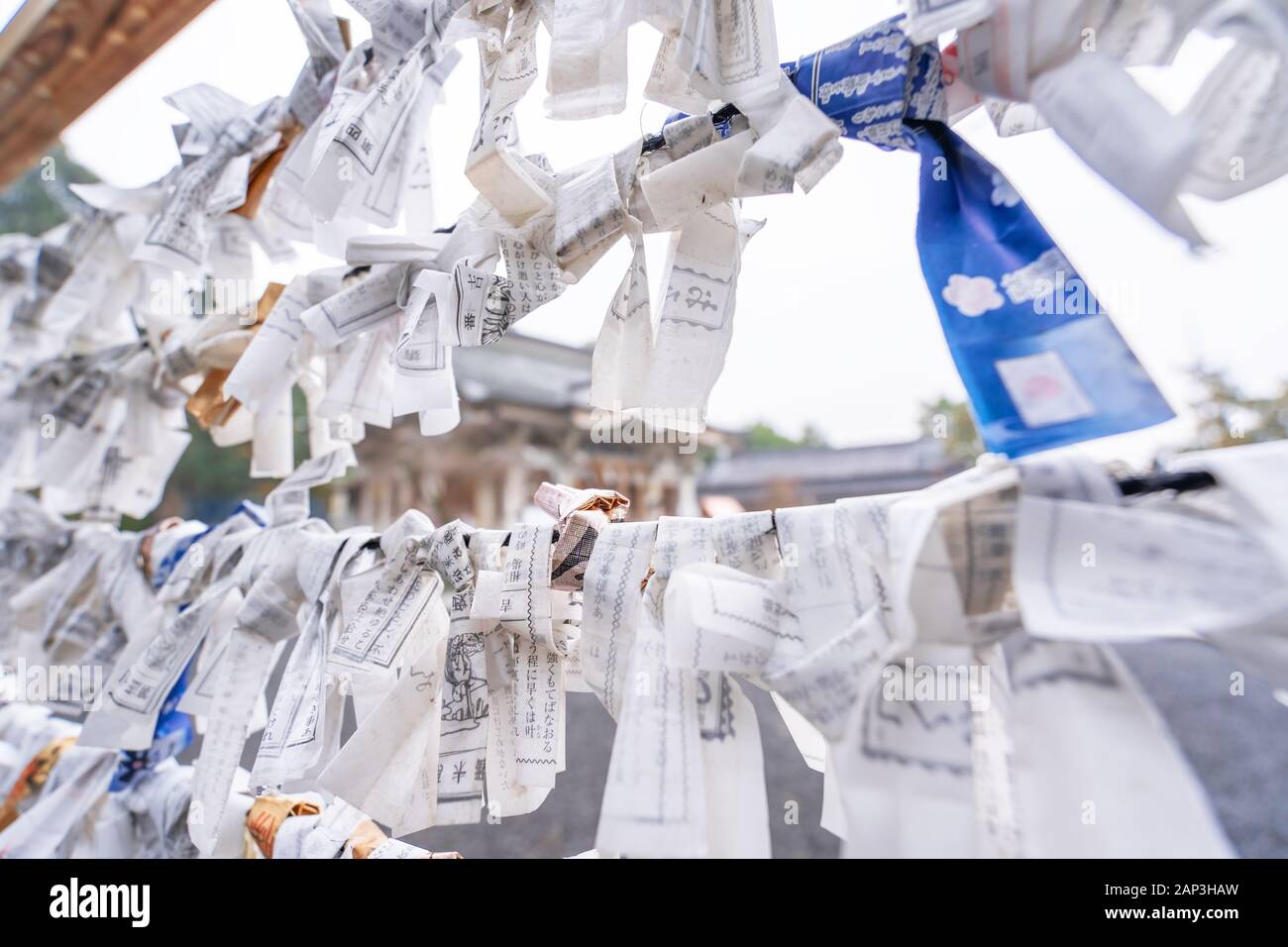 Saga Japan Nov 12 18 Japanese Random Fortune Telling Paper Omikuji Folded And Tied On Rope Wires Omikuji Kake In Traditional Temple Conce Stock Photo Alamy