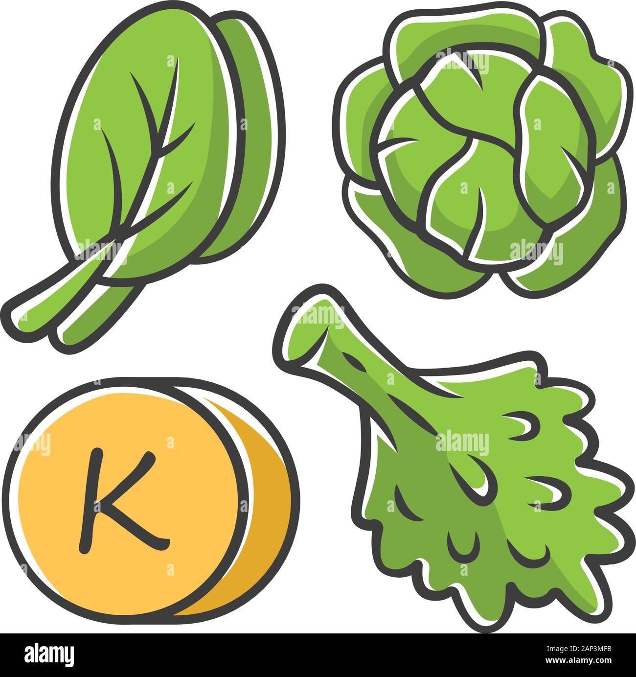 Vitamin K green color icon. Edible greens and cabbage. Healthy food