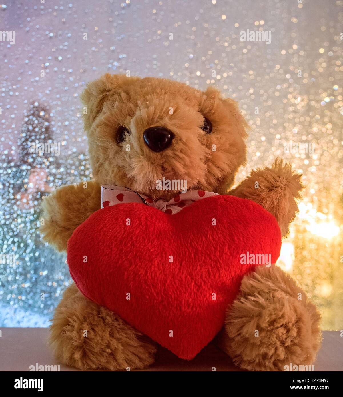 fluffy stuffed bear