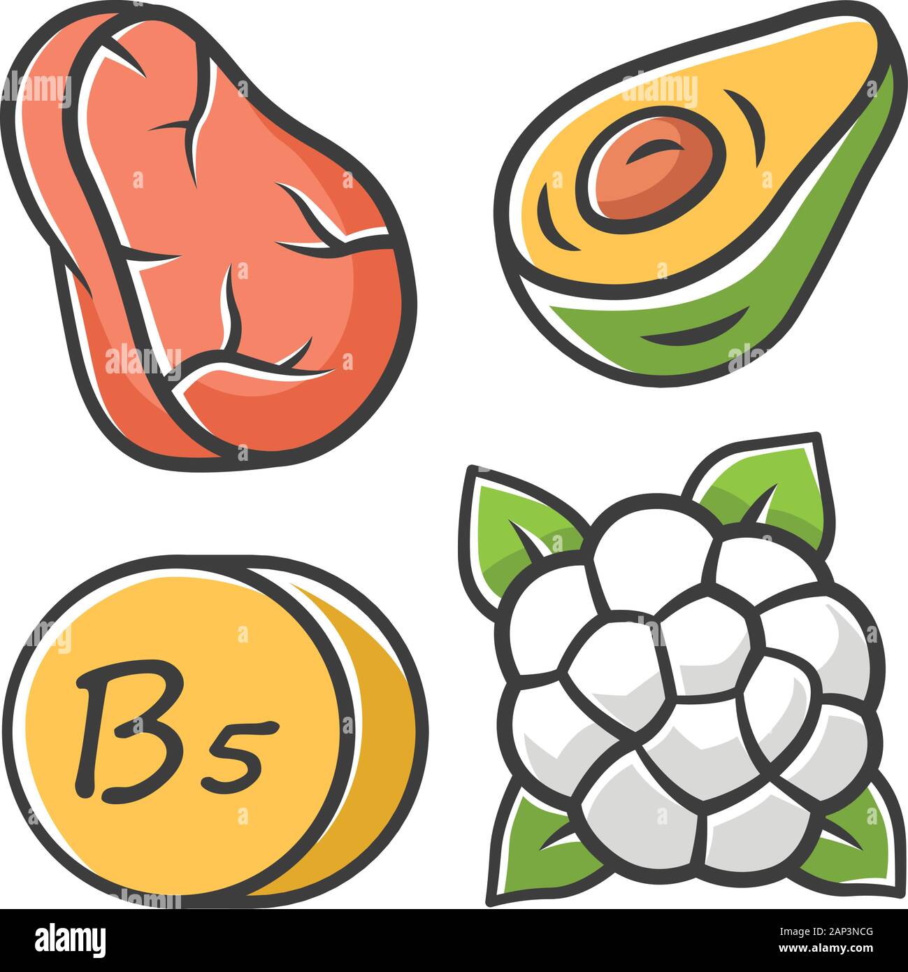 Vitamin B5 color icon. Meat, avocado and cauliflower. Healthy eating