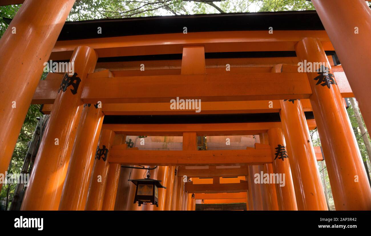Walkway at Fushimi Inari Kyoto Japan Torii Gate in Autumn Stock Photo ...