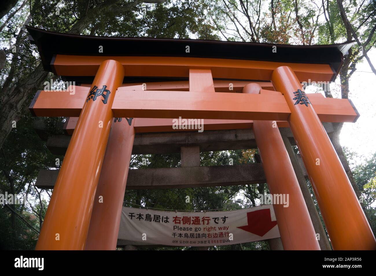 Walkway at Fushimi Inari Kyoto Japan Torii Gate in Autumn Stock Photo ...