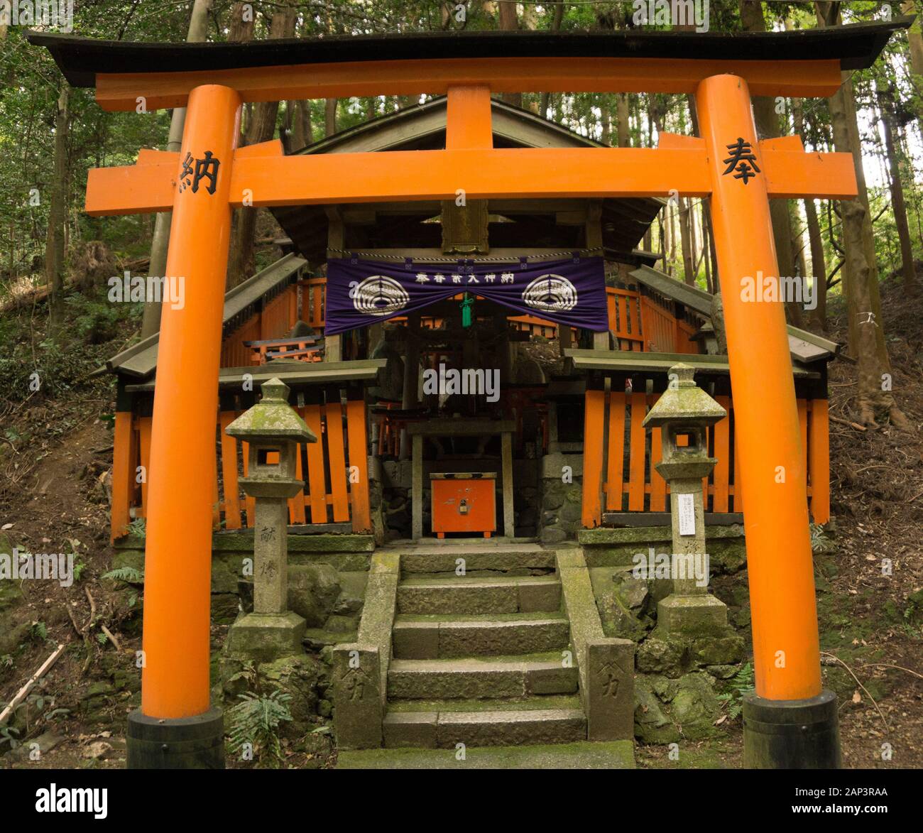 Walkway at Fushimi Inari Kyoto Japan Torii Gate in Autumn Stock Photo ...